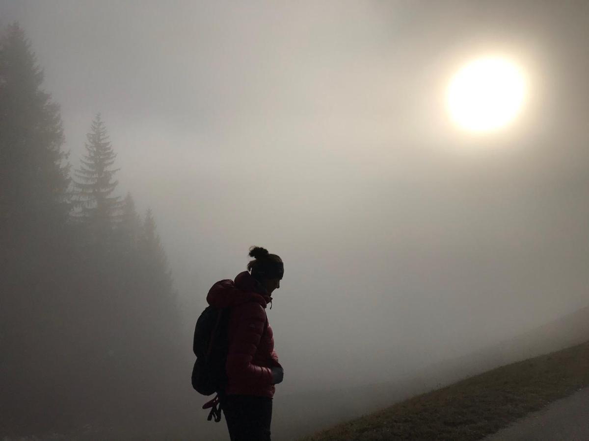 Pension Luzenberg Auffach Bagian luar foto